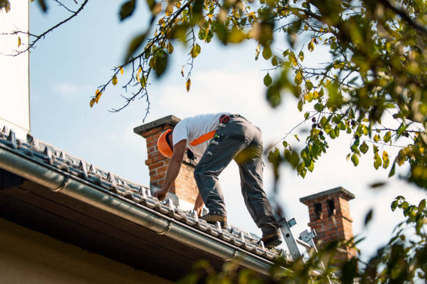 Best Roof Gutter Cleaning  in Good Hope, AL