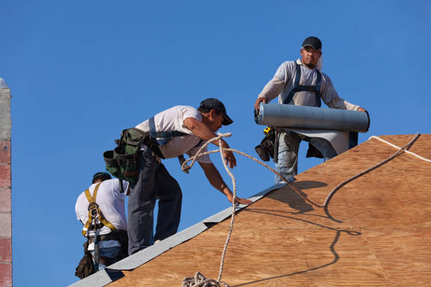 Roof Gutter Cleaning in Good Hope, AL